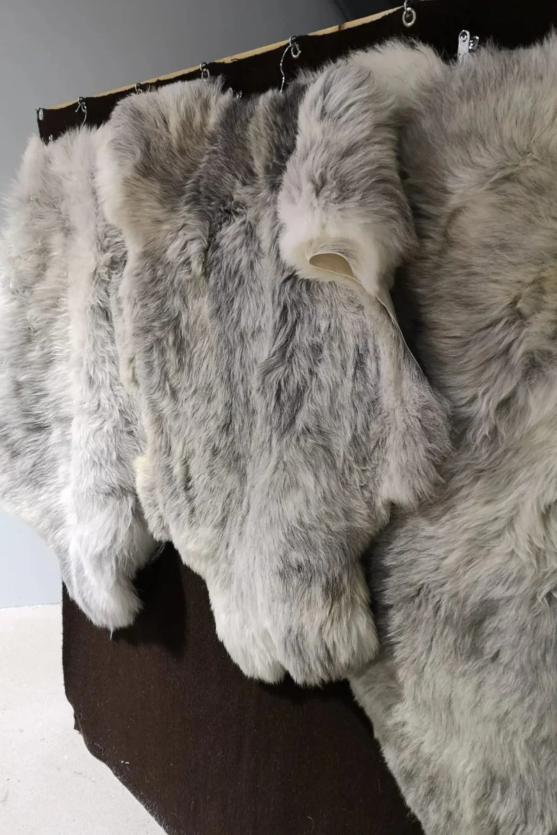 Vorschaubild 5